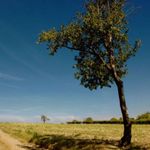 priateľstvo na diaľku