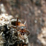 Blíž to nezkoušej ! ! !