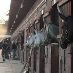 Ranní vstávání a příprava do práce