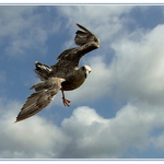 Kdo mě to tady nahoře fotí ?