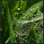 Korálková dečka na neviditelné niti