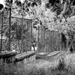 řetěz je tak silný jako jeho nejslabší článek