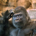 Když tak nad tím přemýšlím