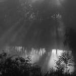 Jedno obyčejné ráno ...