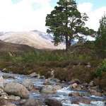 Braemar (Scotland)