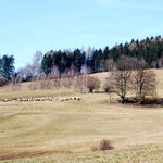 Předjaří na Vysočině