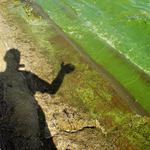 Proč jsem se na Pálavě nekoupal ...