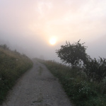 slunce,cesta,strom,keř na Choči