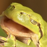 "To jsem se nasmála,dobrej fór"