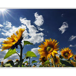 UŽ HO VIDÍME .  HURÁÁ