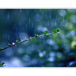 PRŠÍ , PRŠÍ ,  LEN SA LEJE.