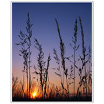 RÁNO NA STRÁŽiI  :)