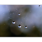 KORÁLKY OD NATÁLKY