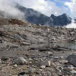 Z pokusu o výstup na Olperer (3476m) - I.