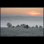 Nejšumavovatější Šumava