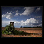 V pozdním odpoledni