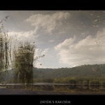 Zátišie s rákosím