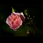 Ještě spí a spí ...