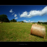 ... Andělská Hora ...