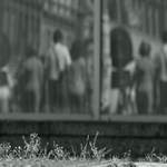 Netočte se zády k mé zahrádce