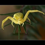 Tak copak by jsi chtěl?