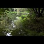 ***Zelené opojení***