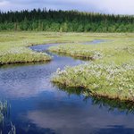 kalendar Evropa 2009