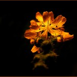 protože... Ty už to víš...