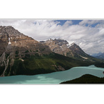 Lake Peyto