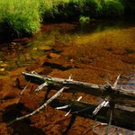 šumavské zákoutí