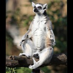 Jogín se soustředí