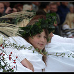 Bzenecké vinobraní 2008