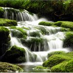 Vodopádek na Jelením potoce