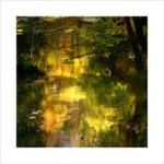 *** Na paletě malíře ***