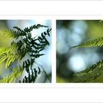 *** Smím prosit? :) ***