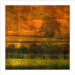 *** Jarní obrázek ***