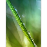 *** Klouzajdáááá ***