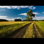 Jihočeská cestička