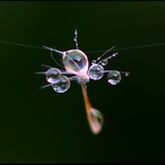 A co takhle přívěšek ?