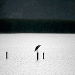 Achčijeachčijeachčije