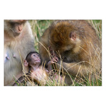 "To bude zase dobrý"