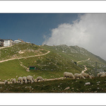 Monte Baldo