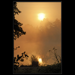 Návrat zlatých časů II.