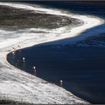 Laguna Colorada  IV.
