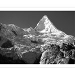 /// Horská královna ///