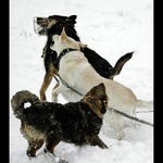 Hurááá, bitkááá!!!