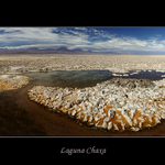 Laguna Chaxa