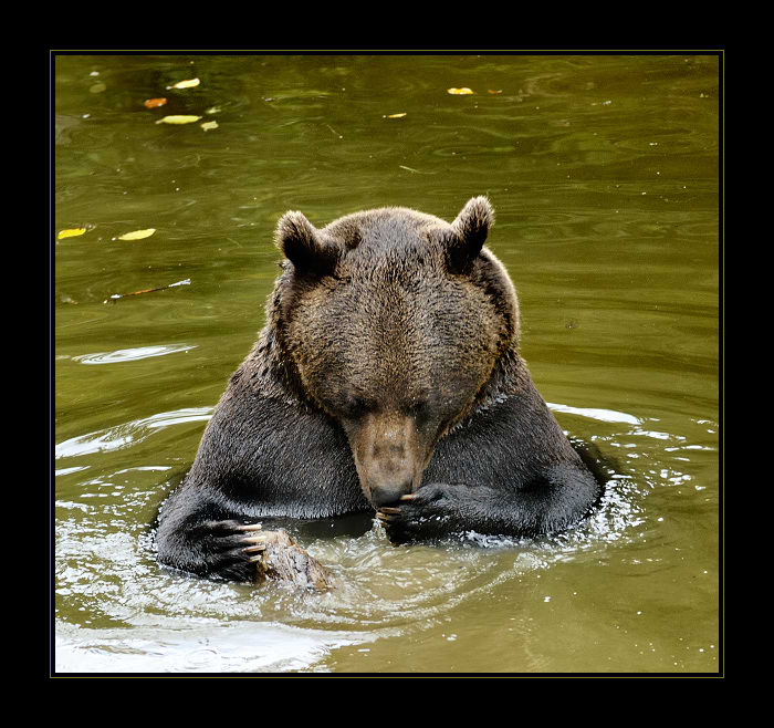 ....tak toto  určitě není Mattoni!