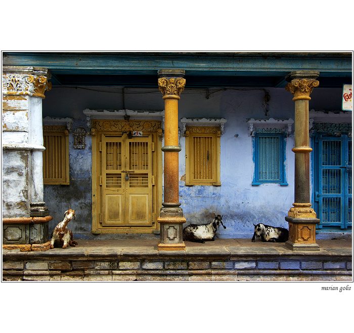 zátiší s modelkami