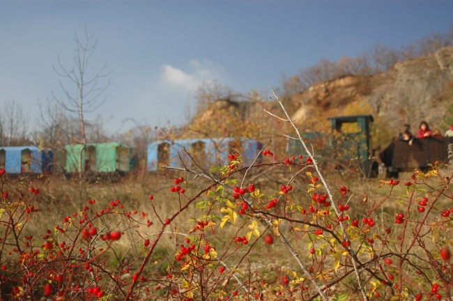 Podzimní nálada - II.